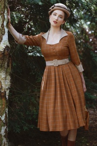 Miss Candyfloss - 50s Graciela Rusti Asymmetrical Swing Dress in Rust 3