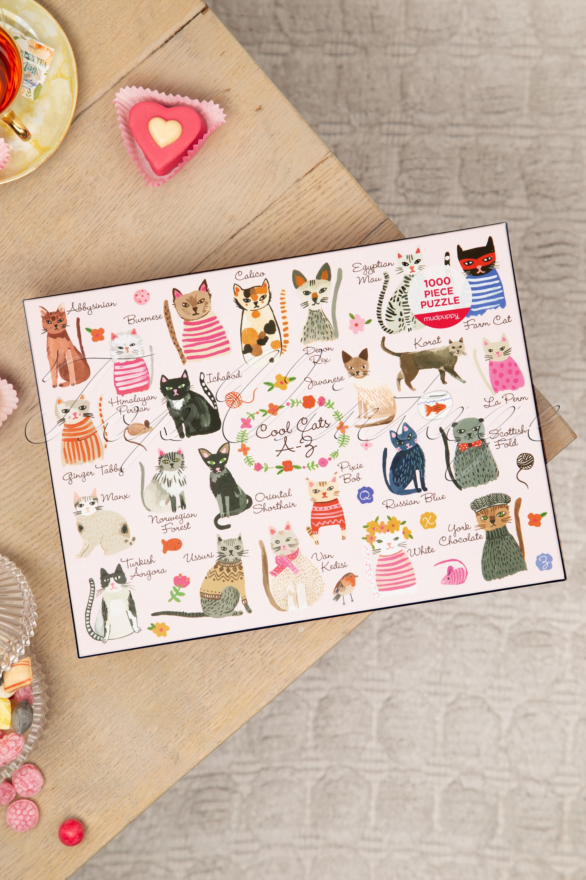 Fashion, Books & More - Cool Cats puzzel van 1000 stukjes