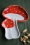&K 45170 Plate Red Mushroom 221017 601 W