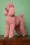 &Klevering - Pink Poodle Coinbank 3
