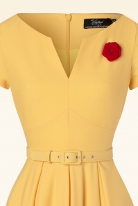 Vintage Diva  - The Gianna Swing Dress in Yellow 5