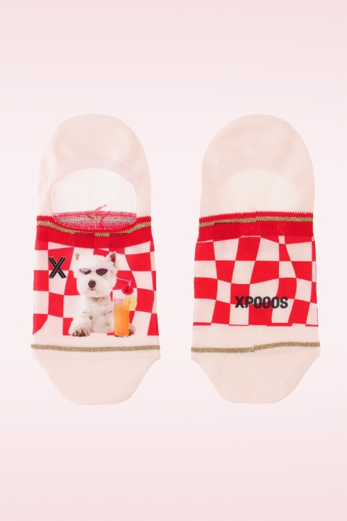 XPOOOS - Dog Taxi Invisibles Footies 