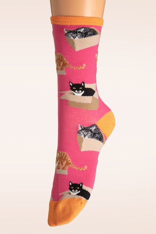 Socksmith - Cat in a Box Socks
