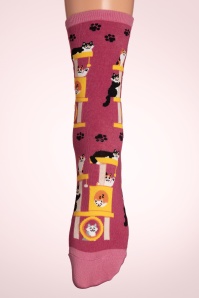 Socksmith - Chaussettes Cool Cats Club en rose