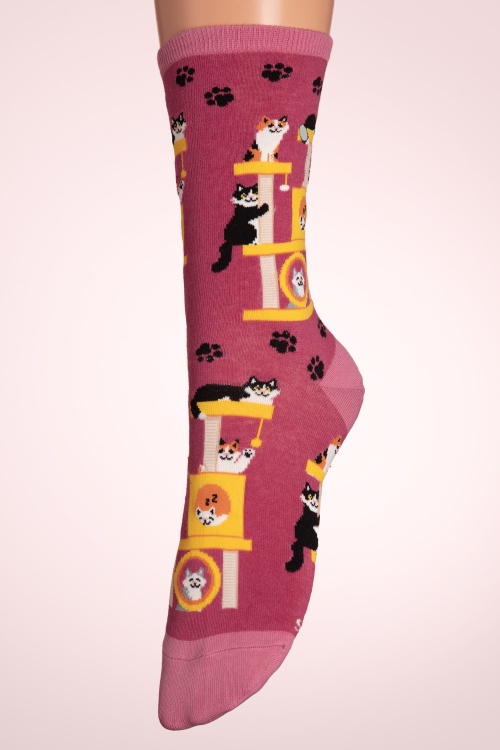 Socksmith - Chaussettes Cool Cats Club en rose 2