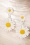 Topvintage Boutique Collection - Friendly Wildflower Earrings Années 70 en Blanc 2