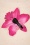 Topvintage Boutique Collection - Tropical Vibes Hair Flower Clip Années 50 en Rose 3