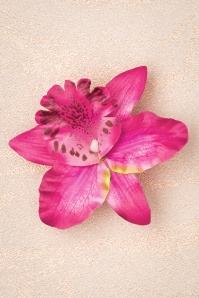 Miss Candyfloss - Chemisier fleuri transparent Cleona Floria en multicolore