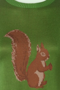 Vixen - Squirrel sweater in groen 2