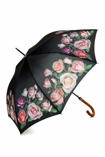 So Rainy_77-5042_20130604_0003