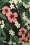 Banned Retro - Maya Tropical Tiare shorts in groen 2