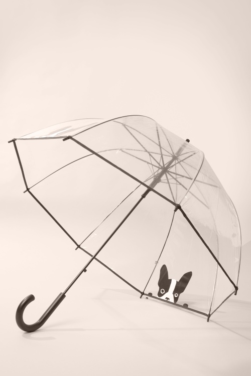So Rainy - It's Raining Dogs Transparenter Kuppelschirm 4