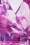 Vintage Chic for Topvintage - Irene Aquarel Cross Over Swing Dress in Purple 2