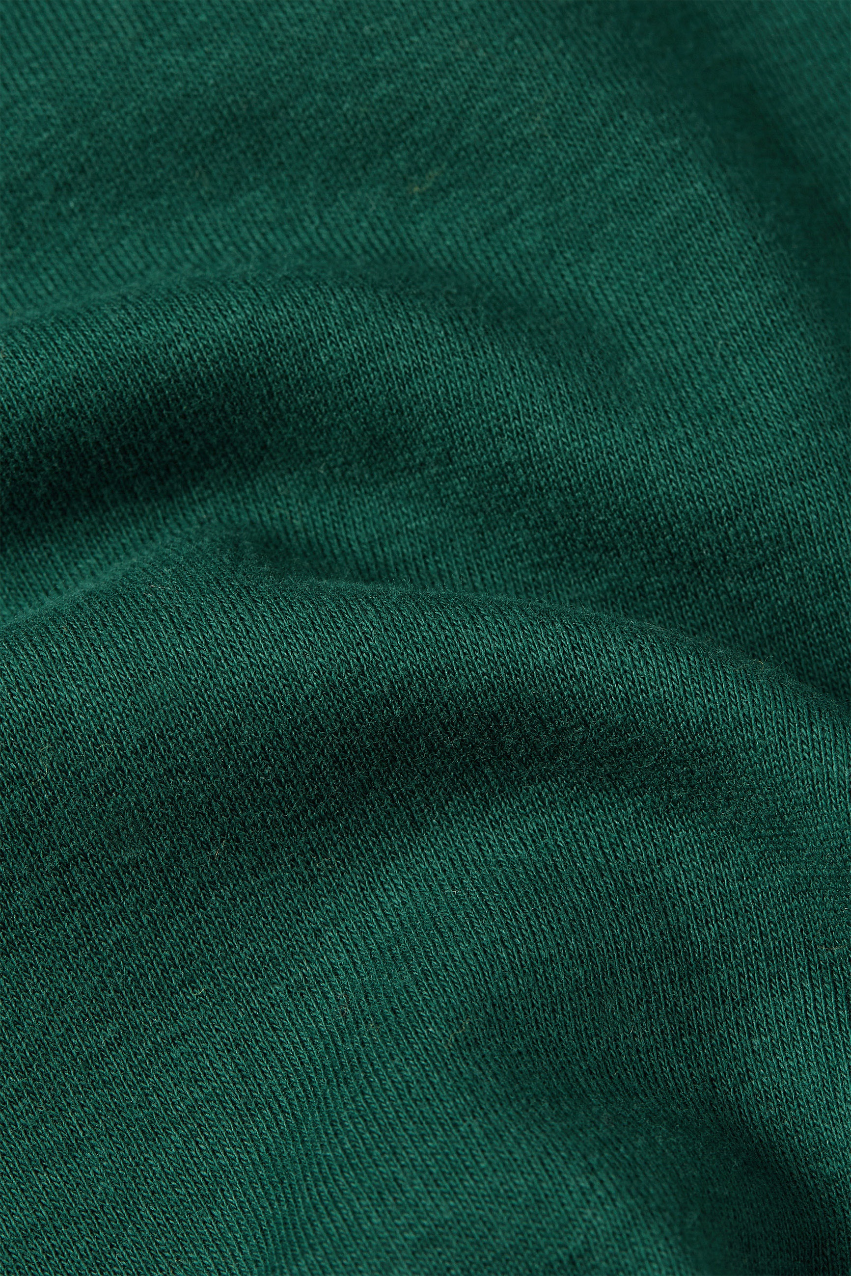 King Louie - Logo T-Shirt in Botanical Green 3