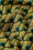 King Louie - Mona Frio Dress in Spruced Green 3