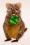 Erstwilder - Quinn The Quokka Brosche