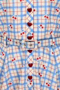 Banned Retro - Bella Cherry Check katoenen swing jurk in blauw 2