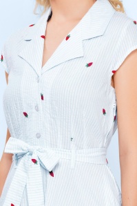 Circus - Daisy gestreepte aardbeien katoenen jurk in lichtblauw en wit 2