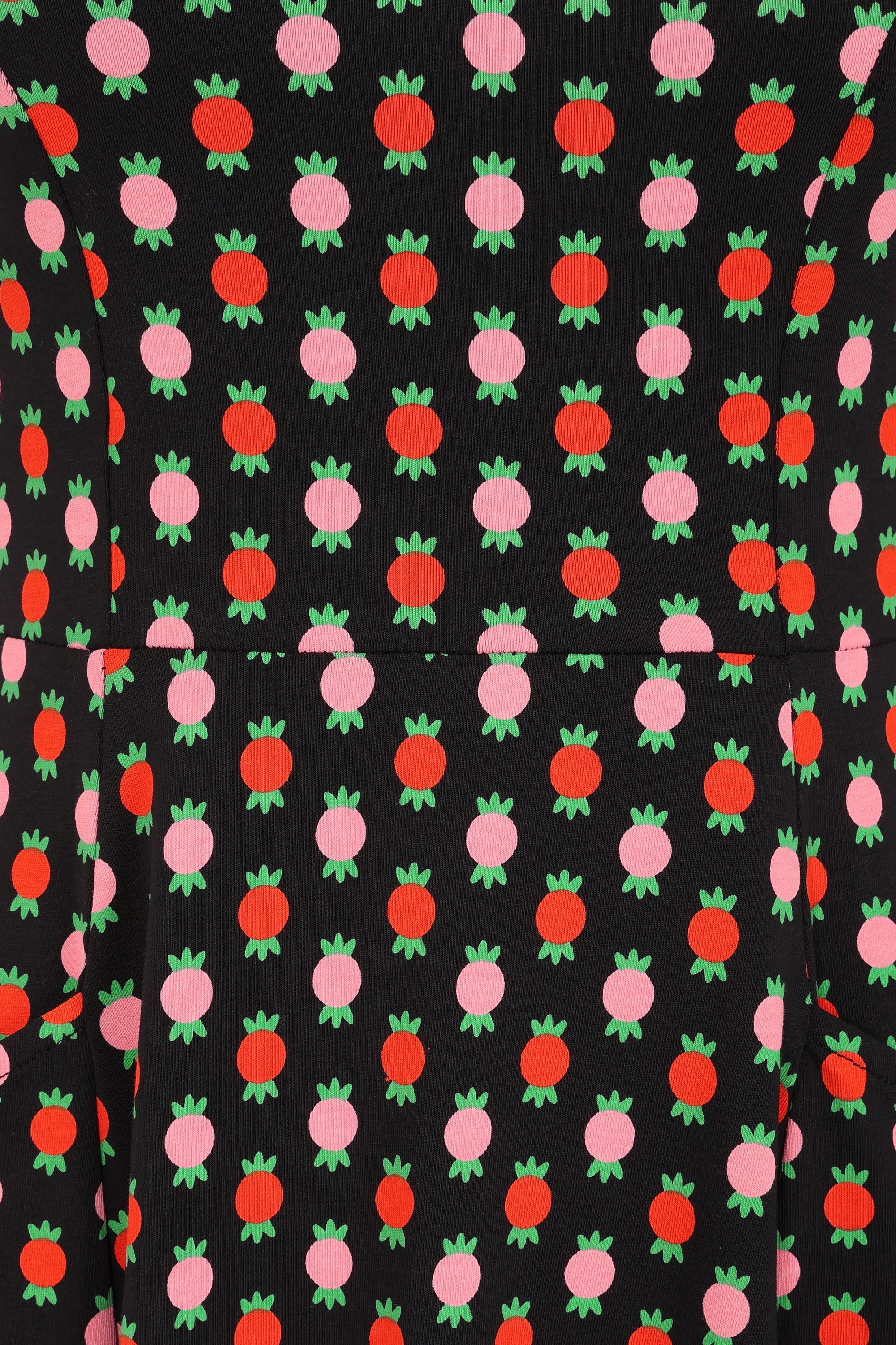 Blutsgeschwister - Gracious Allure jurk in sweet fruit memories 4