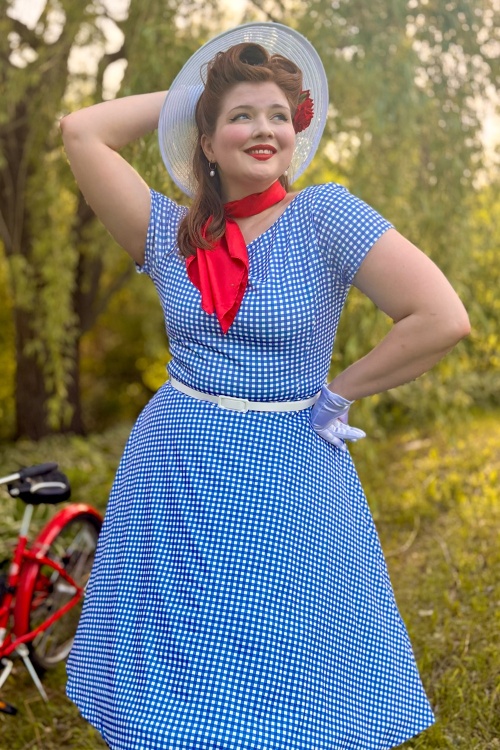 Vintage Chic for Topvintage - Topvintage exclusive ~ Julie Gingham Swing Dress in Blue and White