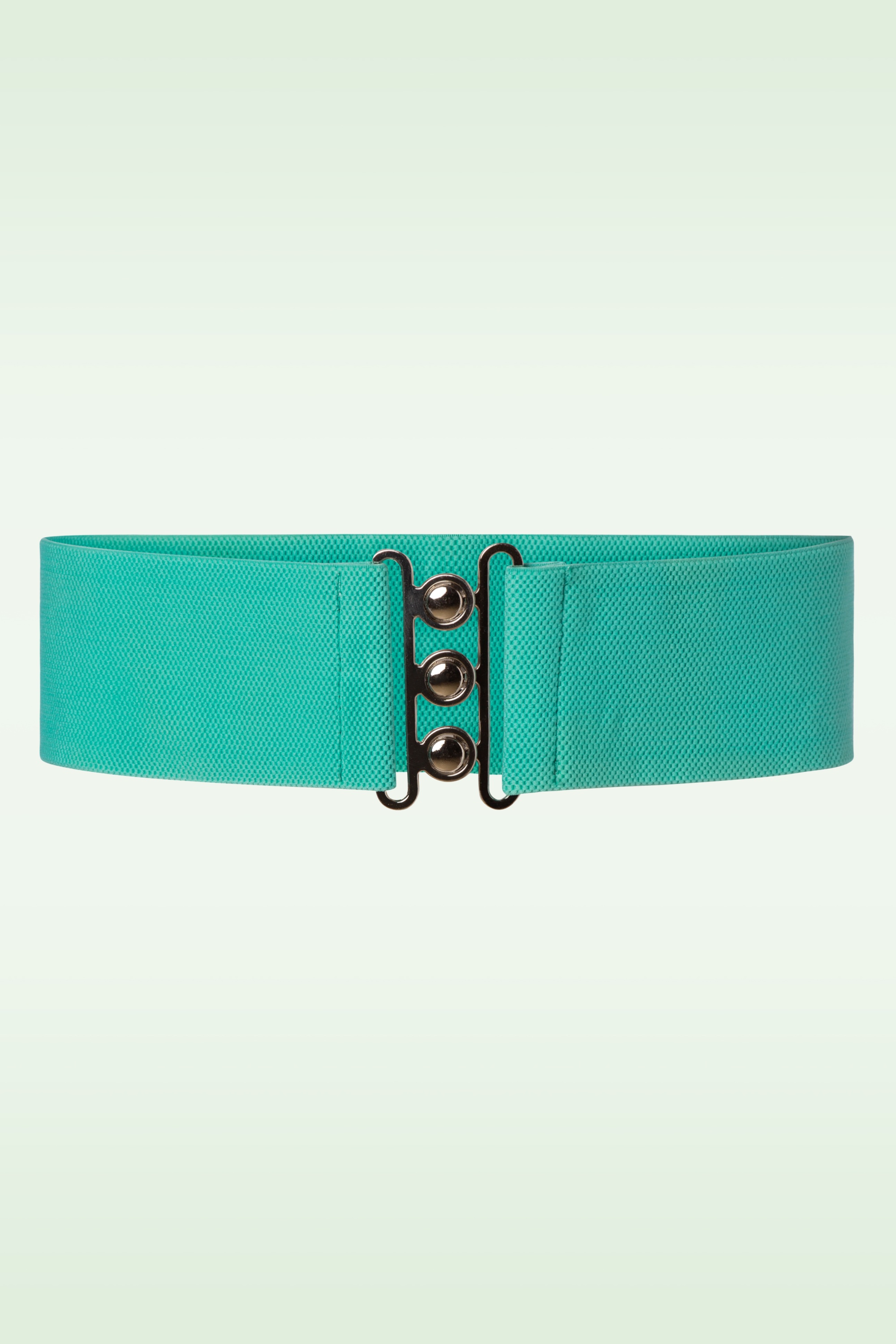 Banned Retro - Lauren Vintage Stretch-Gürtel in Hellgrün