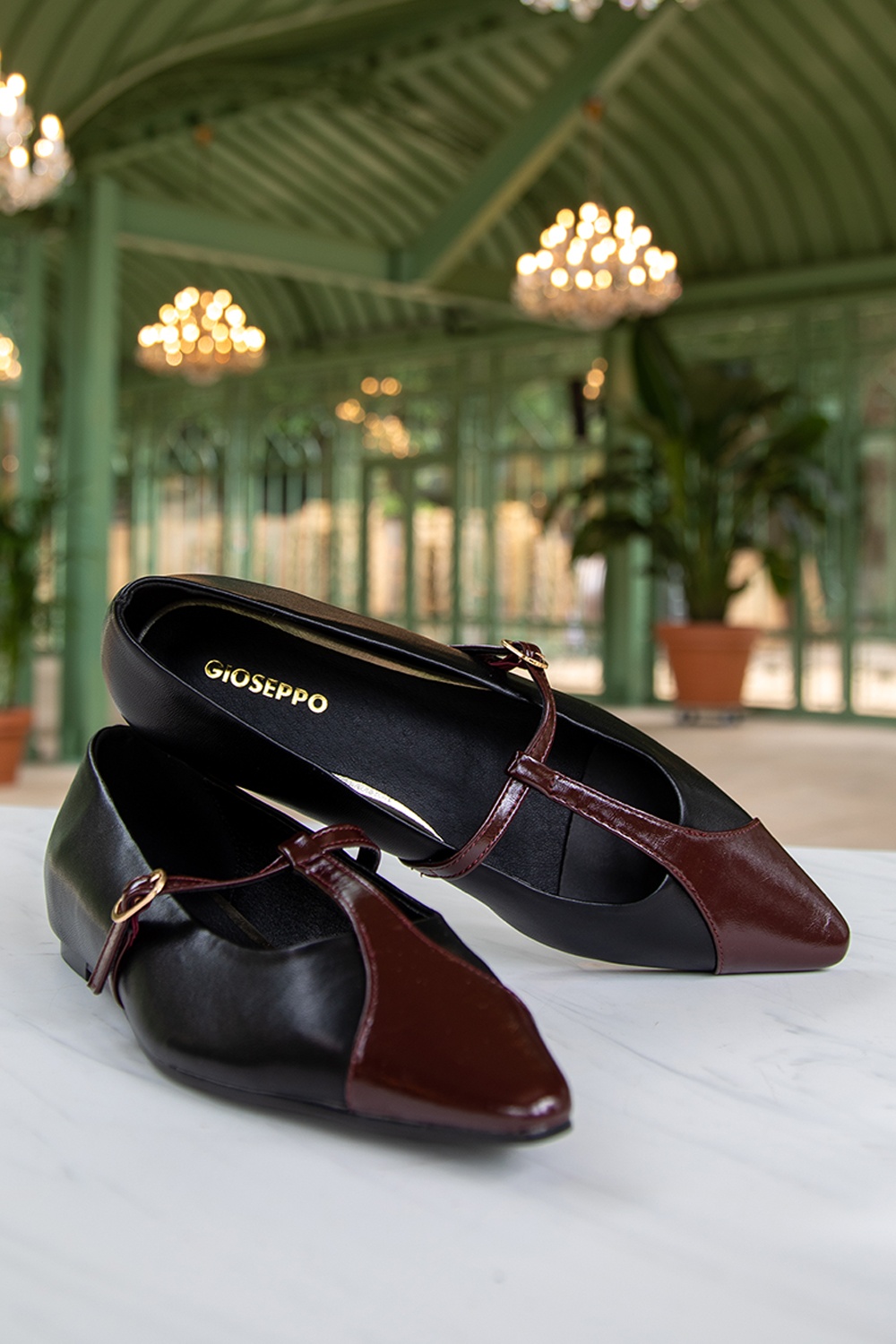 Gioseppo - Ballerines salomées Terry en noir 4