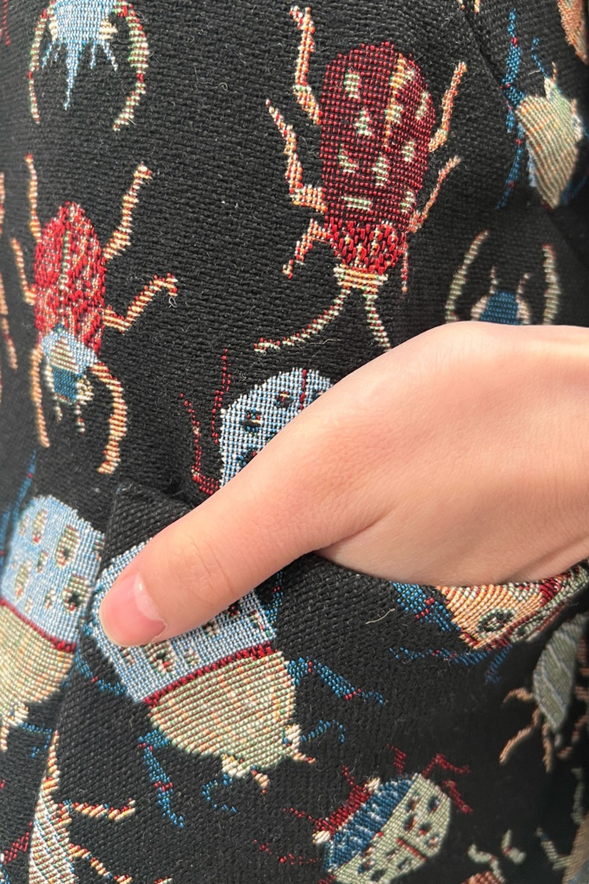 Louche - Kent Beetlejuice Cropped Jacket in Multi 4