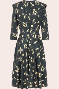 Banned Retro - Robe swing en coton Evelyn Moon vert pin foncé  2