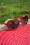 So Retro Heart Sunglasses Red 12909 20140312 0015W