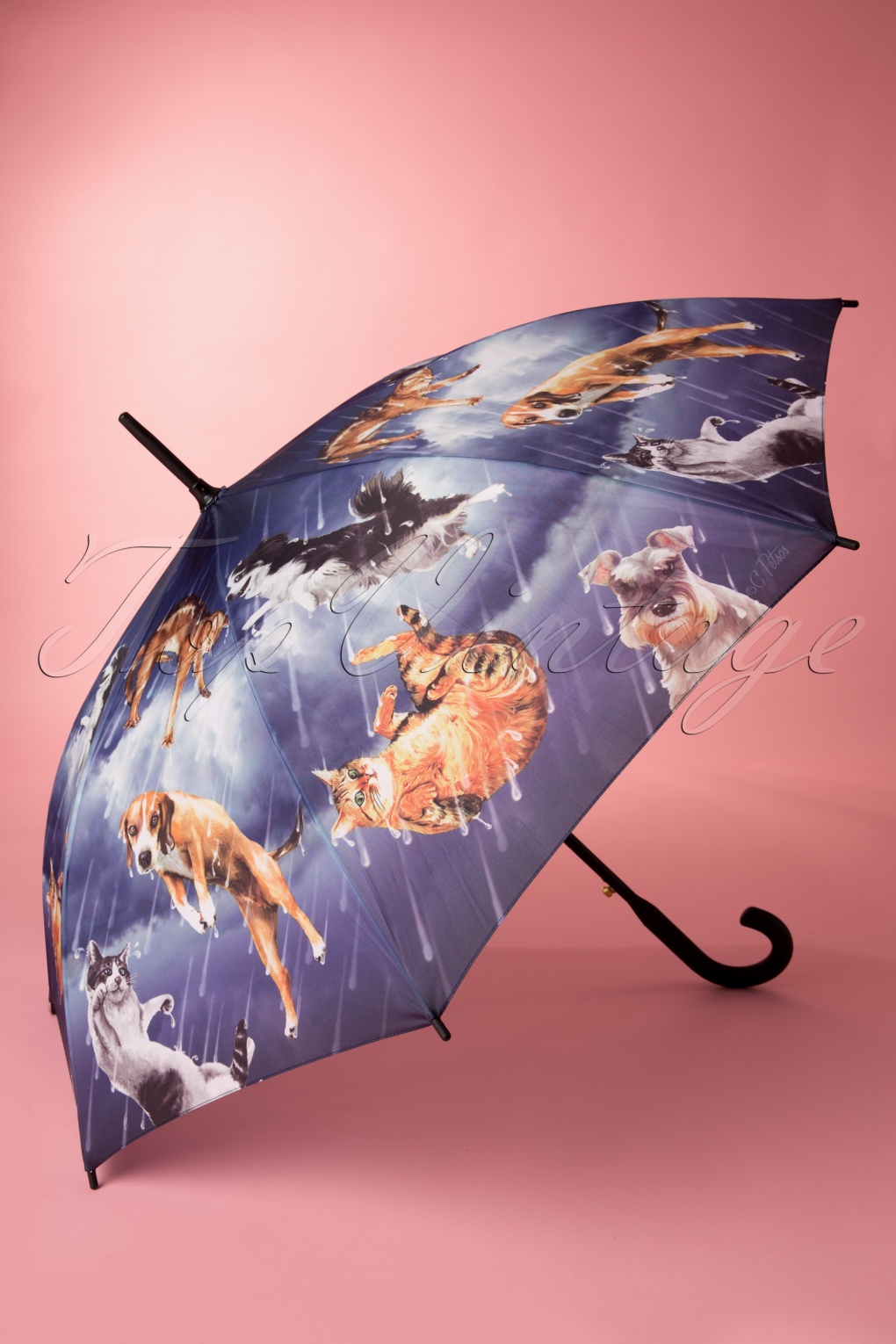 50s Vintage Raining Cats and Dogs Umbrella