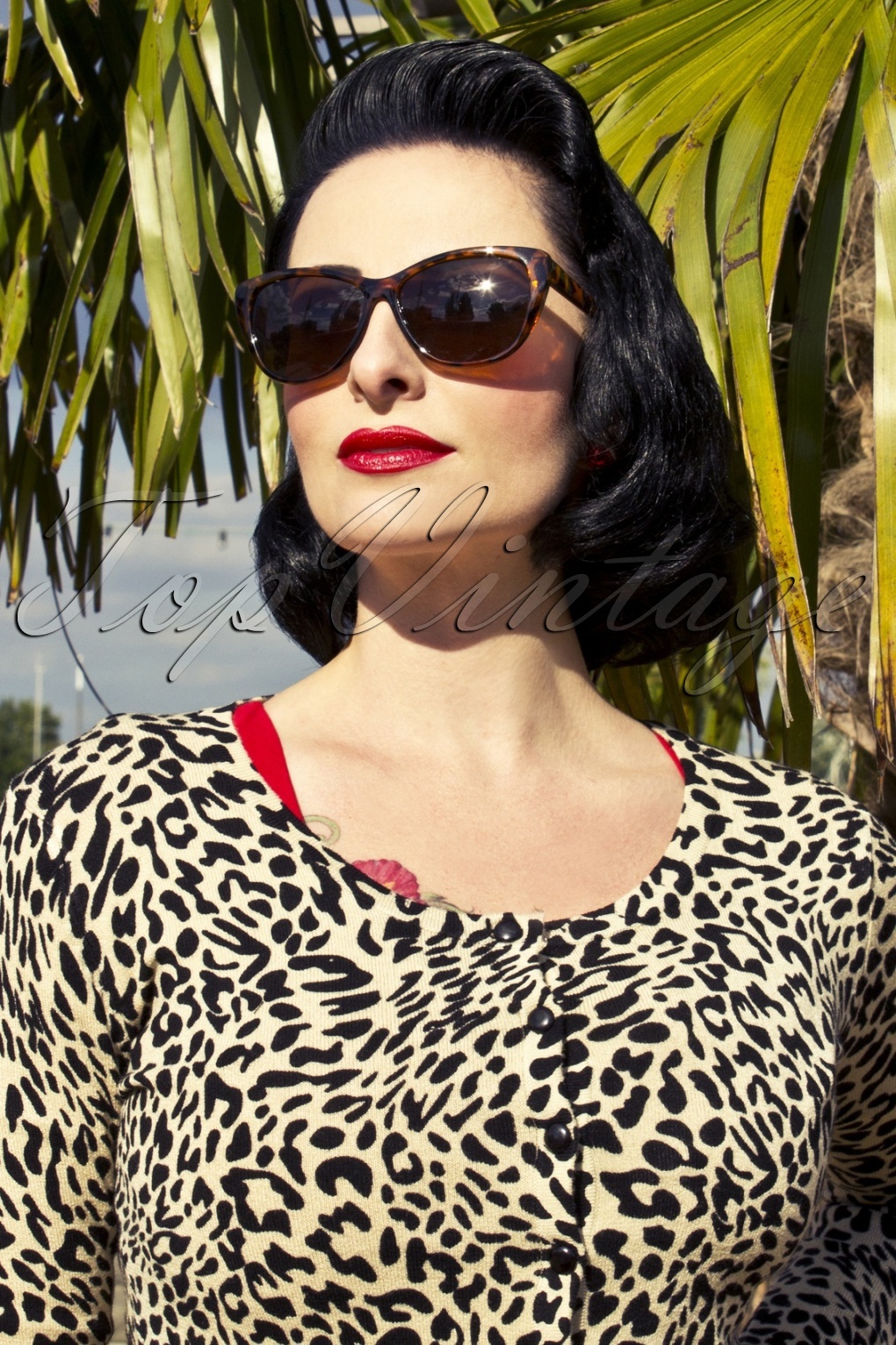 50s Cats Cat Eye Sunglasses Tortoise