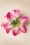 ZaZoo - Lily Flower Hair Clip en Rose