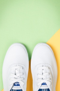 Keds - 50s Champion Core Text Sneakers in White 6