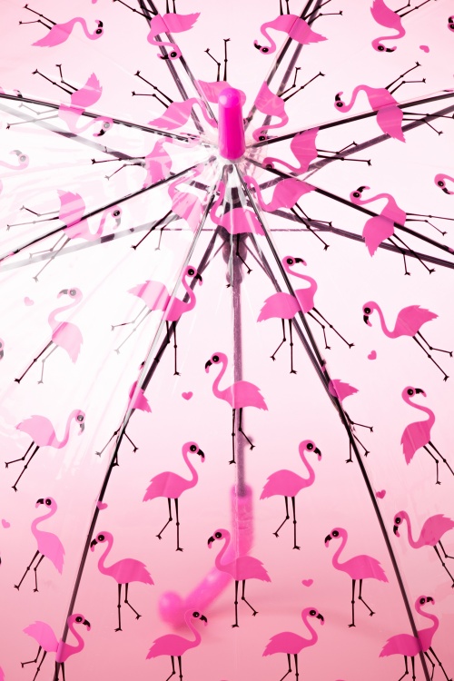 So Rainy - 60s Pretty Flamingo Transparent Dome Umbrella 2