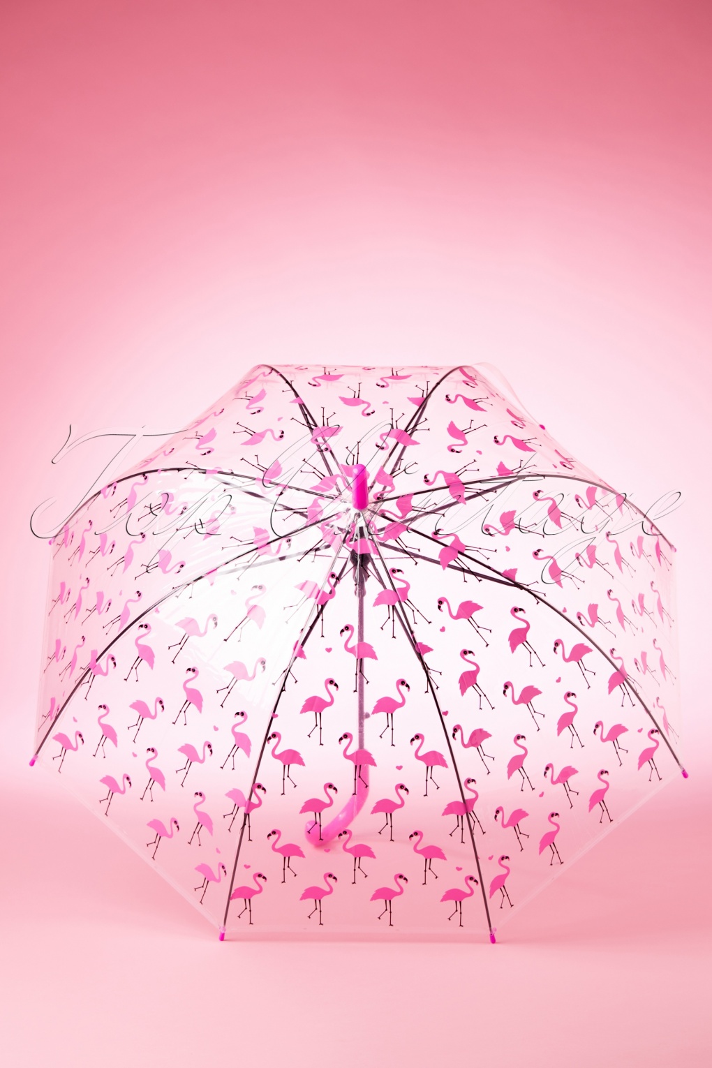 hidden umbrella in flamingo pictures