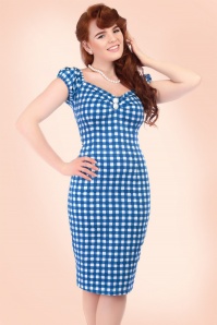 Collectif Clothing - 50s Dolores Painted Gingham Dress in Blue and White 3