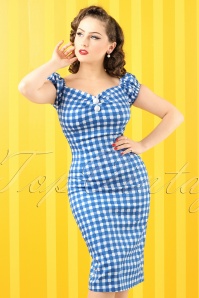 Collectif Clothing - 50s Dolores Painted Gingham Dress in Blue and White