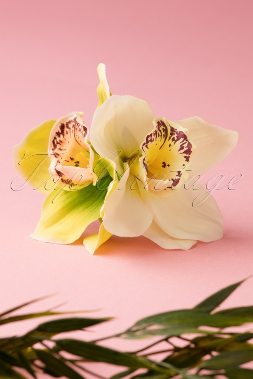 Lady Luck's Boutique - Double Orchid Double Pretty Hair Clip Années 50