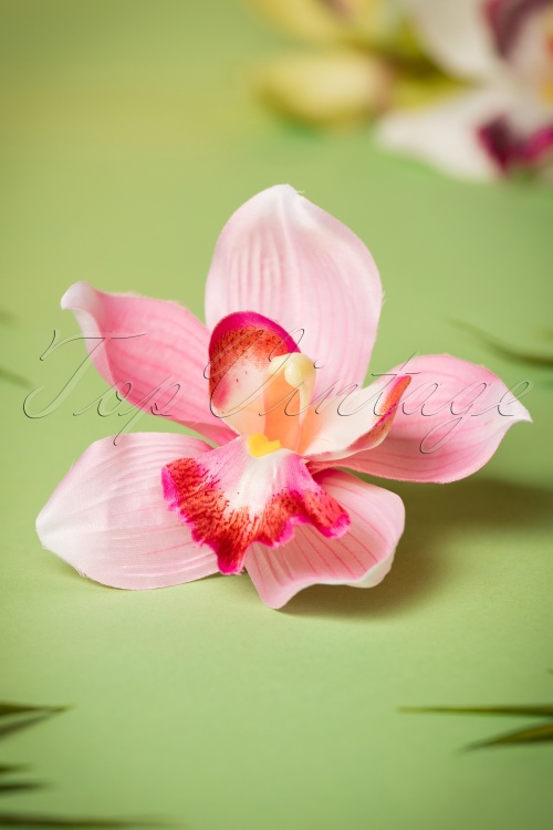 Collectif Clothing - Pin-Up Orchidee Haarclip Ivoor
