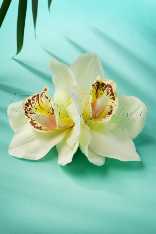 Lady Luck's Boutique - 50s Double Orchid Double Pretty Hair Clip in Cream